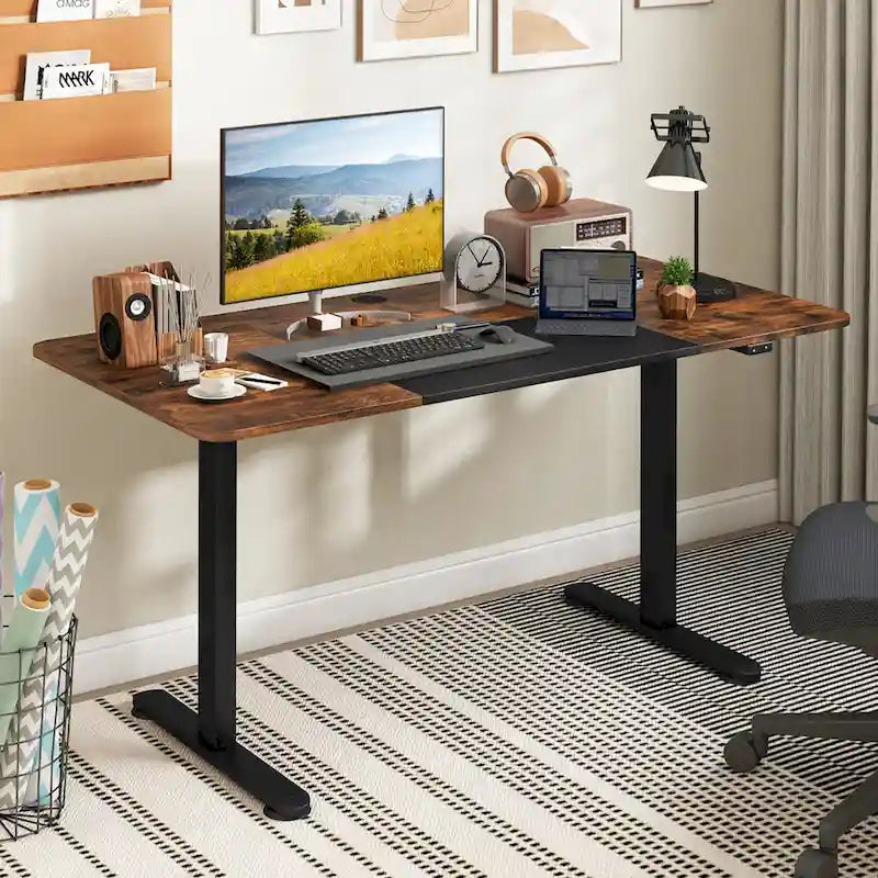 55 Electric Height Adjustable Standing Desk for Home Office Use