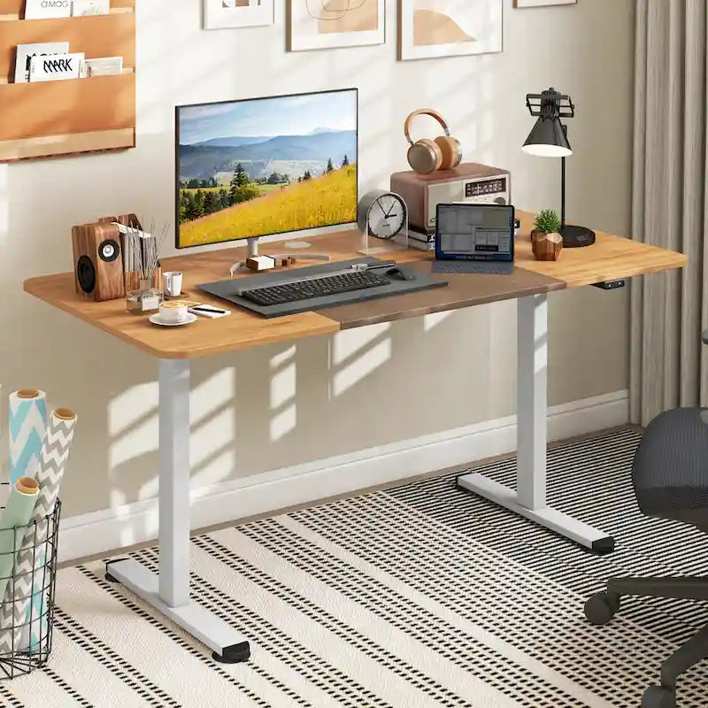 55 Electric Height Adjustable Standing Desk for Home Office Use