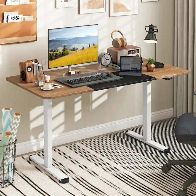 55 Electric Height Adjustable Standing Desk for Home Office Use