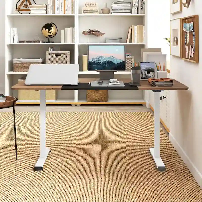 55 Electric Height Adjustable Standing Desk for Home Office Use