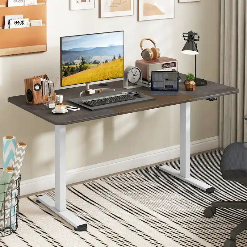 55 Electric Height Adjustable Standing Desk for Home Office Use