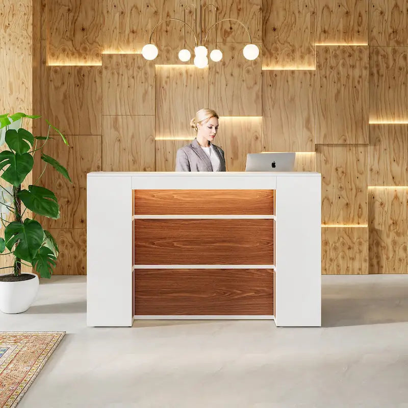 LED Reception Desk with Storage for Salon Office Lobby Retail